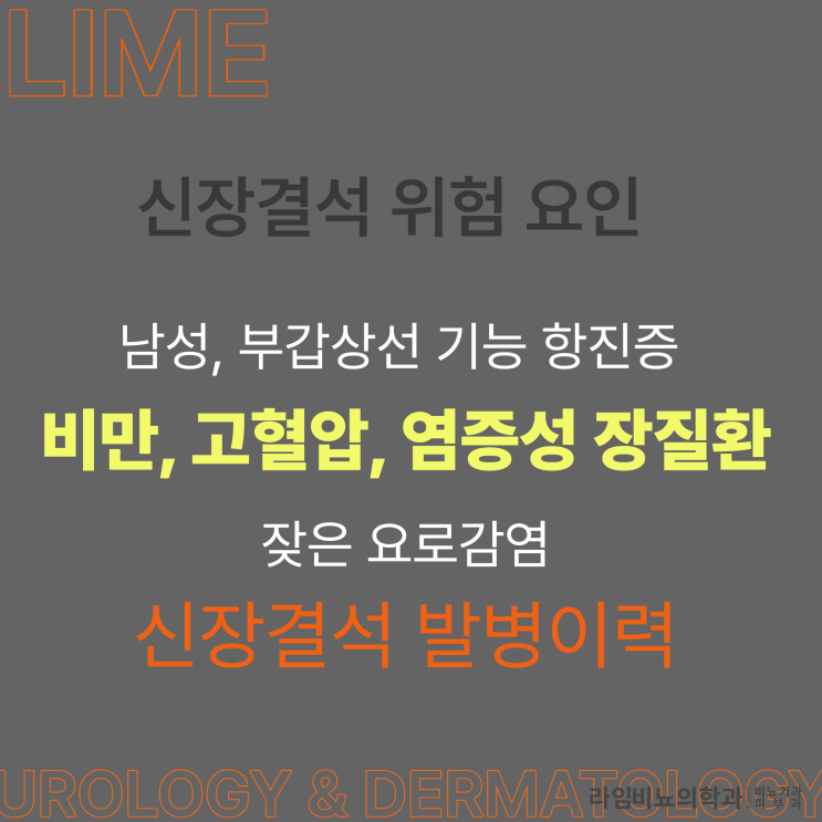 대구 방광결석과 신장결석의 진단과 치료법에 대해