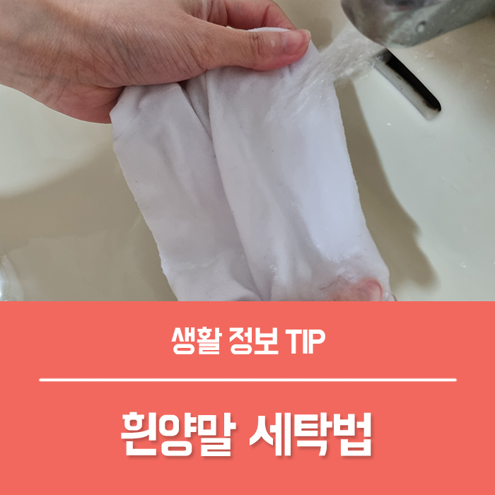 흰양말 세탁 양말 찌든때, 과탄산소다 빨래 락스 사용법