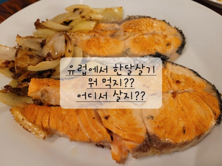  [유럽에서 한달살기] 한달동안 뭐해먹지? 어디서 살지?