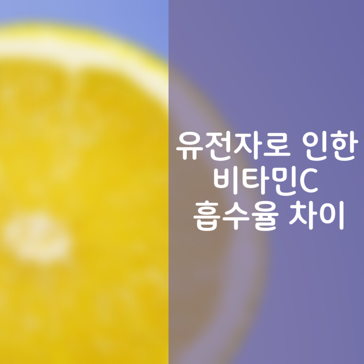  유전자로 인한 [비타민C] 흡수율 차이