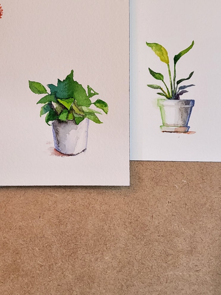  230224 화분그림
