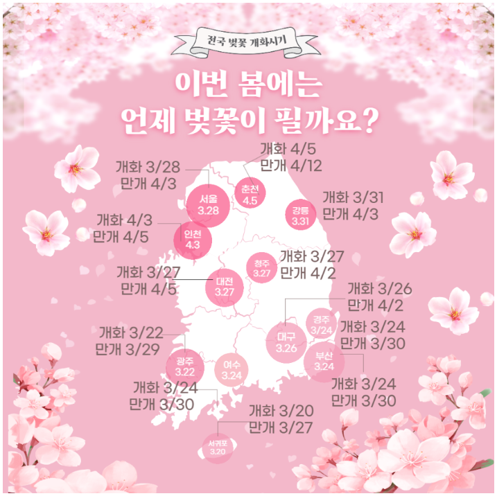 2023년 청주 벚꽃 개화시기는 언제? 올해 청주 벚꽃 명소 추천