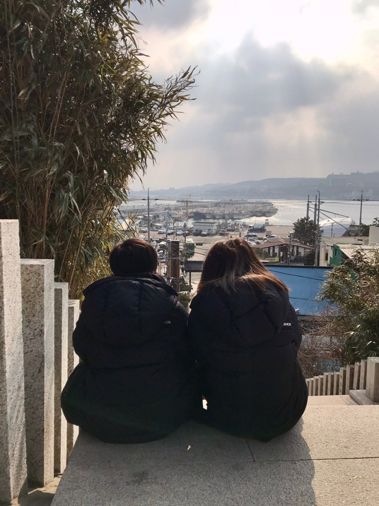 포항 가볼만한곳 산책하기 좋은 구룡포 일본인가옥거리 까멜리아 주차팁 관광객이 바글바글