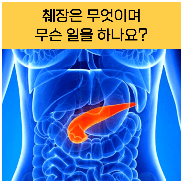  췌장효소제 순노미효소이란?