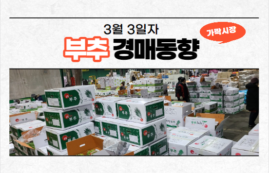  [경매사 일일보고] 3월 3일자 가락시장 부추 경매동향을 살펴보겠습니다!