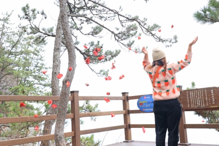  여수 가볼만한곳 1박 2일코스   잊지못할 인생여행지7곳