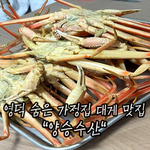 영덕 축산면 대게맛집 대게축제 : 양승수산 영덕 축산면 대게맛집 대게축제 : 양승수산