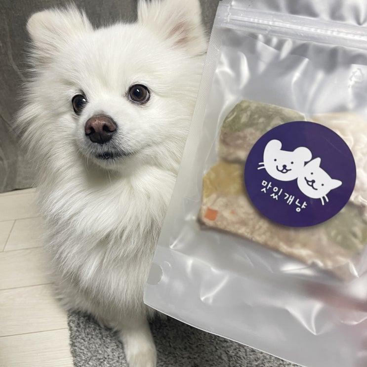 강아지 수제간식 - 강아지 영양식으로 좋은 수제간식 강아지 테린 맛있개냥