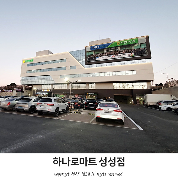 천안 성성동 하나로마트 성성점 오픈세일전단 및 다녀온 후기 천안 성성동 하나로마트 성성점 오픈세일전단 및 다녀온 후기