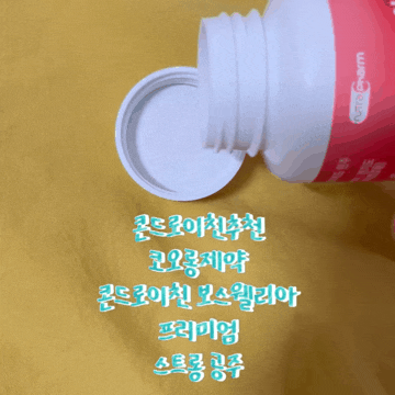  부모님선물 상어연골 추천 코오롱제약 콘드로이친 보스웰리아 프리미엄