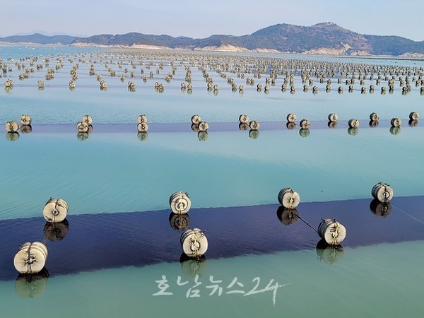  고흥군, 물김 생산량 전국 생산량 27% ‘김산업 진흥구역 지정’ 총력