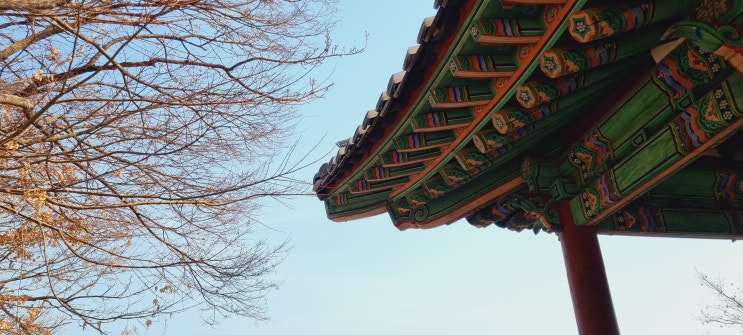  [외출기록] 오후 산책 × 궁산 한강조망 (서울 강서구)