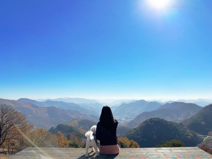 강원도 여행 중 갔던 산너미목장 언덕 풍경, 흑염소 구경