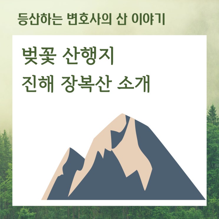  벚꽃 산행지 진해 장복산 소개