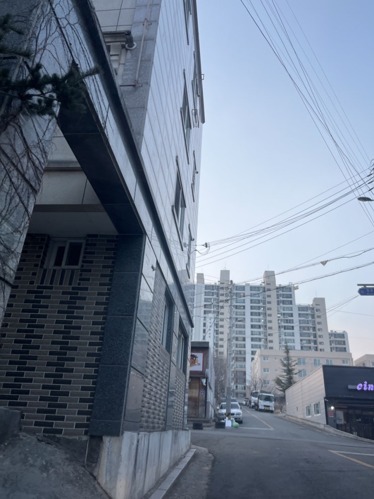  광배근에 도움이 되는 운동