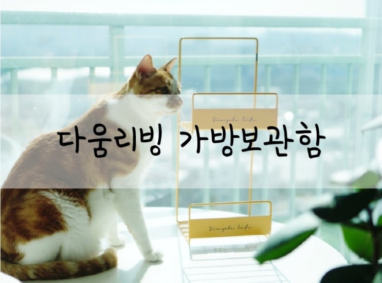  다움리빙 생활리빙템 벽걸이 가방보관함으로 실속있는 붙박이장 공간활용