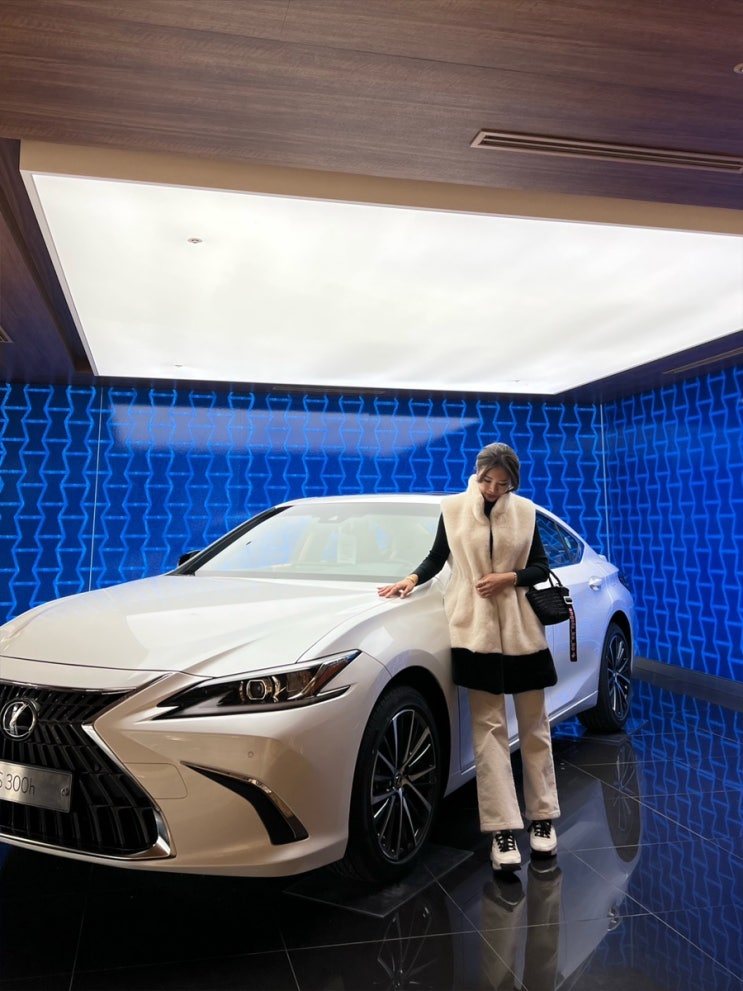  렉서스 NX350h 하이브리드 시승 / 렉서스 ES300h 시승 후기 (천우모터스 렉서스 용산전시장)