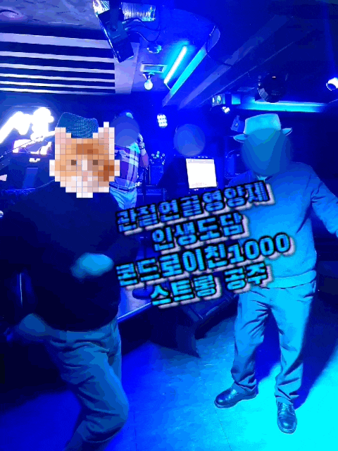  인생도담 콘드로이친1000 관절연골영양제 대용량 콘드로이친 추천