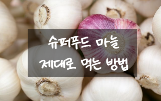  슈퍼푸드 마늘 제대로 먹는 방법