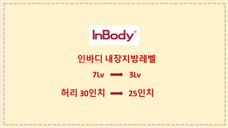  내장지방레벨 인바디 내장지방레벨 낮추는 방법 (운동, 식단 )