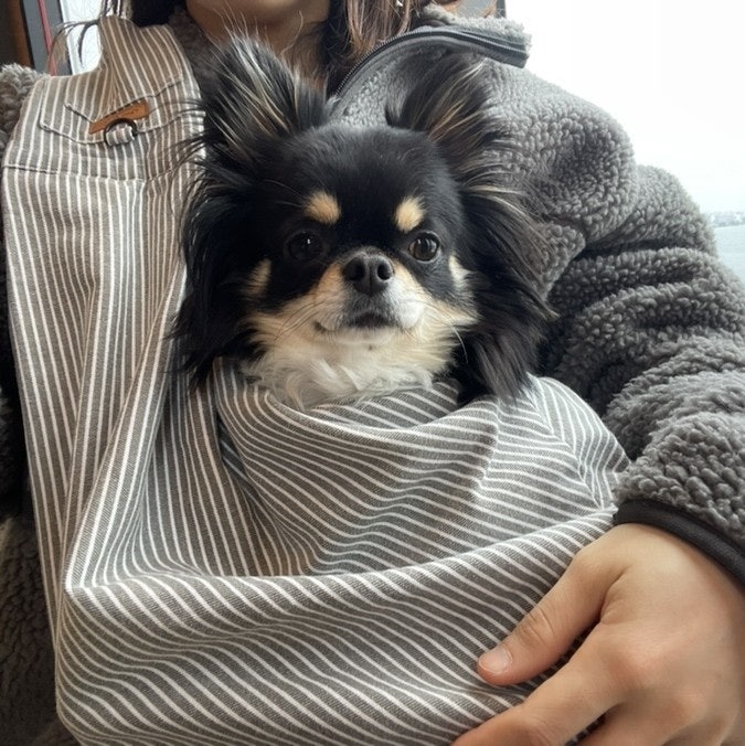  경주 & 포항 여행 | 힙한 반려견 동반 카페 포항 영일대 꾸꾸하우스