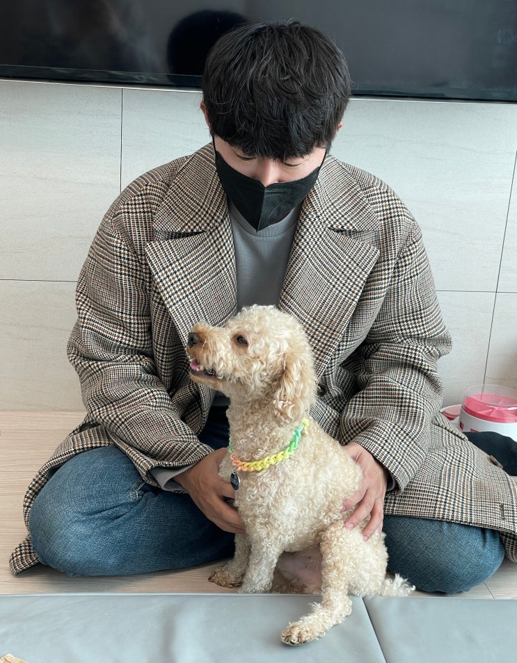 포동 강아지 분리불안 1:1훈련 받고 찐 만족한 후기 반려견 훈련은 포동스쿨에서