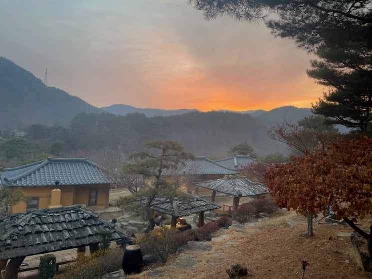  경북 봉화 펜션 오로지 시골집 감성 저렴한 한옥 독채 숙소