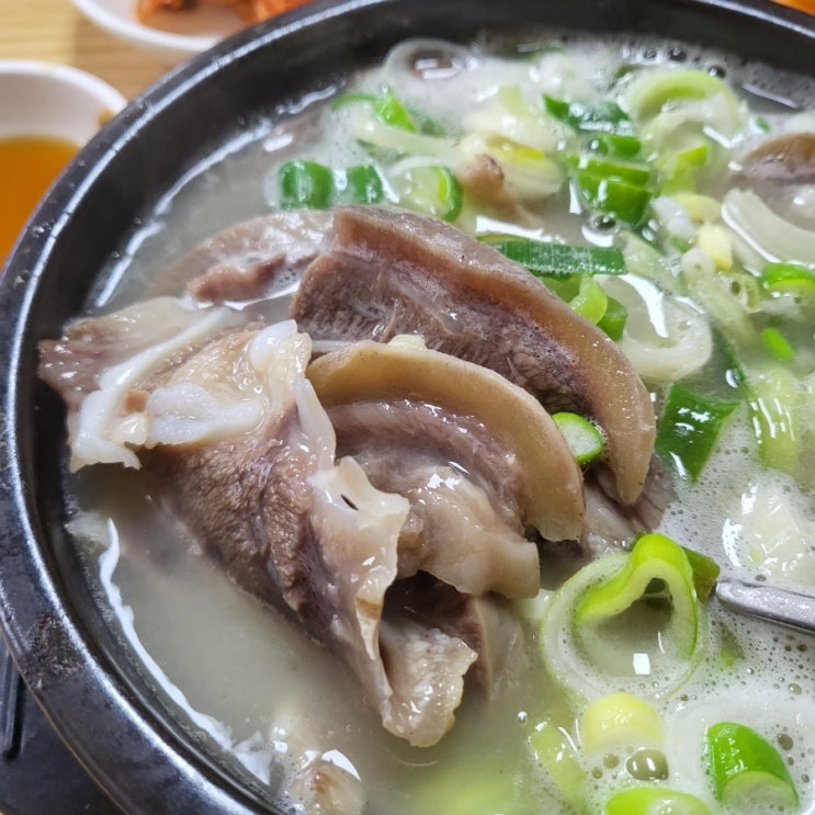  언양시장 시장곰탕 고기듬뿍