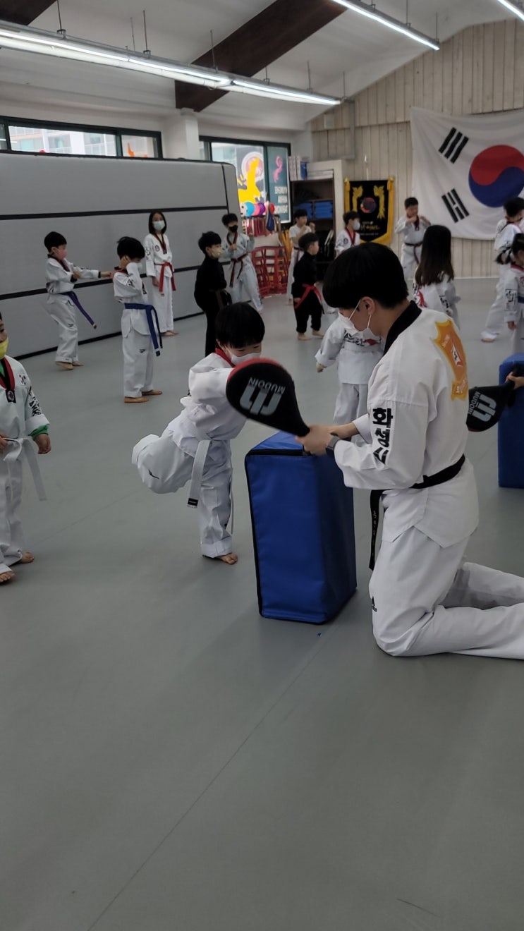  6살태권도 5살태권도 참관수업 후 등록했어요~ 걱정반 병점태권도 안화태권도 태권도원비