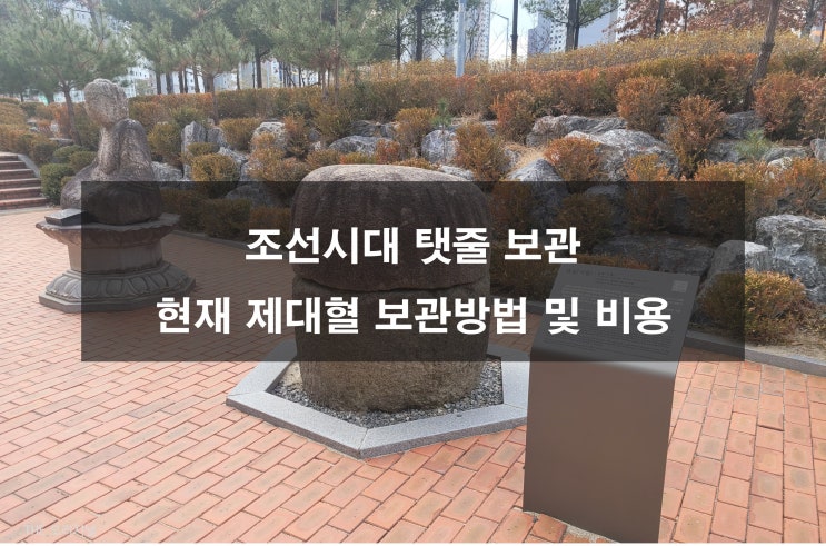  조선시대 탯줄 보관, 현재 제대혈 보관방법 및 비용 (대전문화재 태실, 망주석)