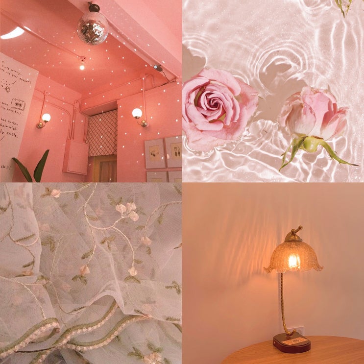 레이스 장미 복숭아 코랄 핑크 분홍색 아이폰 고화질 배경화면 wallpaper lace peach rose aesthetic pink coral