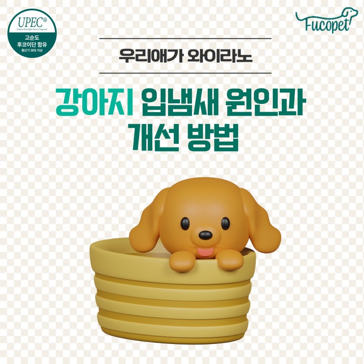  48th.노령견 입냄새 영양제 #원인 #관리방법