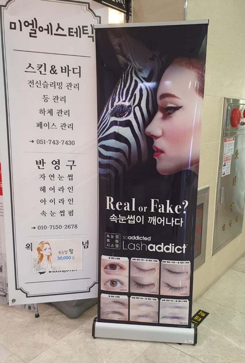 유아 교구장 고르기(일룸 3단책장)