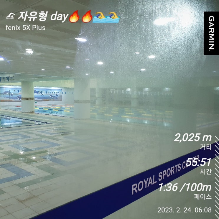  [수영일기] 2월 24일 강사님 쉬는날