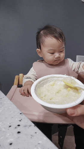  후기 이유식에서 유아식까지 배냇밀시판이유식 했어요