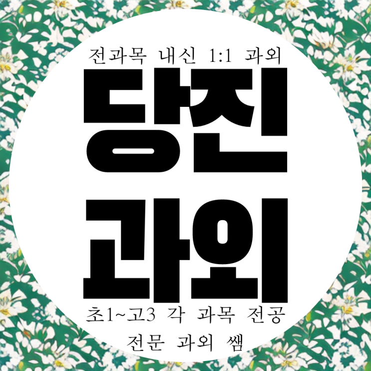  당진 국어 과외 전과목 영수 원당동 전문 호서고 내신 읍내동 고1 고2 영어 수학 과외