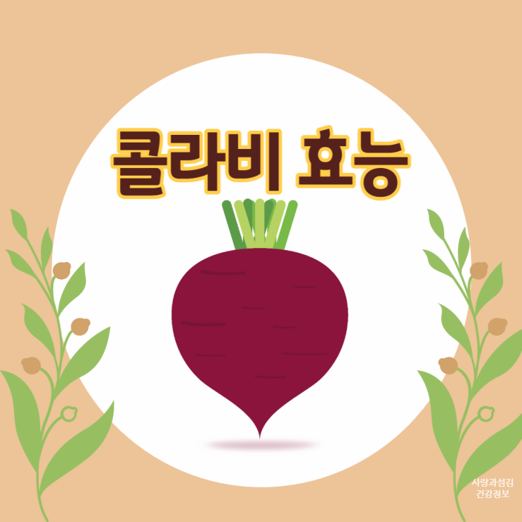 콜라비 부작용 효능 칼로리 다이어트와 항암에 좋은 음식 알아봐요 콜라비 부작용 효능 칼로리 다이어트와 항암에 좋은 음식 알아봐요