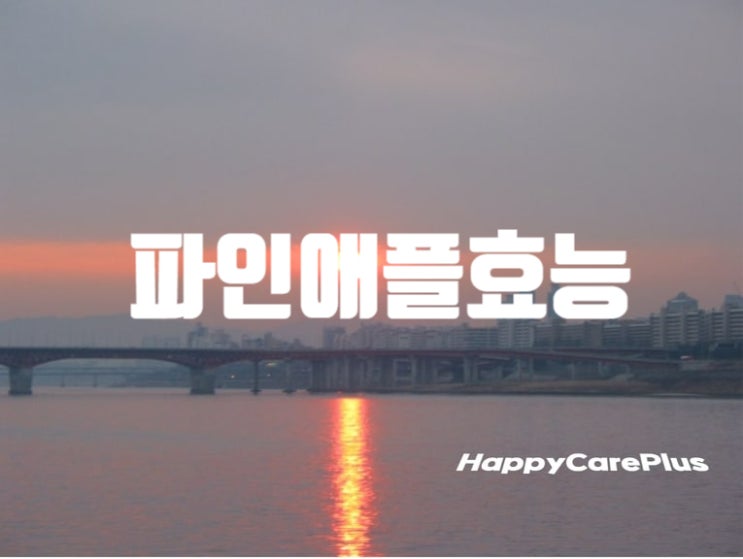  파인애플 효능