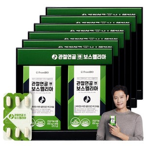  관절건강 영양제 프롬바이오 보스웰리아(효능 부작용)