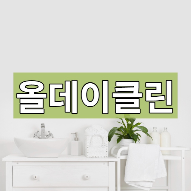  송파구 입주청소 빈틈없이 깔끔하게 완료