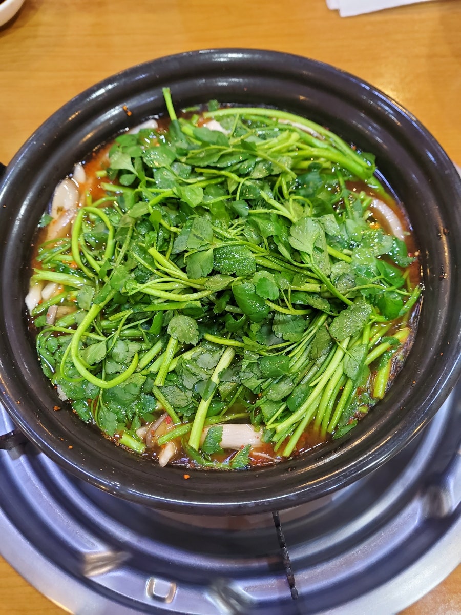 등촌샤브칼국수 삼척점 사진 5