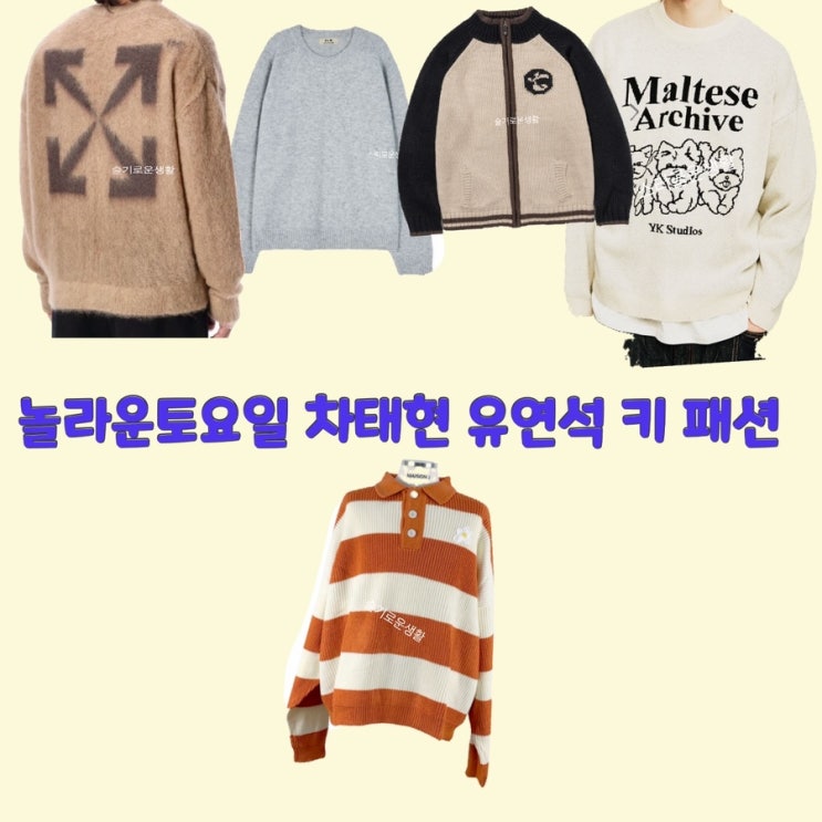  유연석 차태현 태연 키 신동엽 붐 놀라운토요일252회 니트 집업 카라 강아지 옷 패션