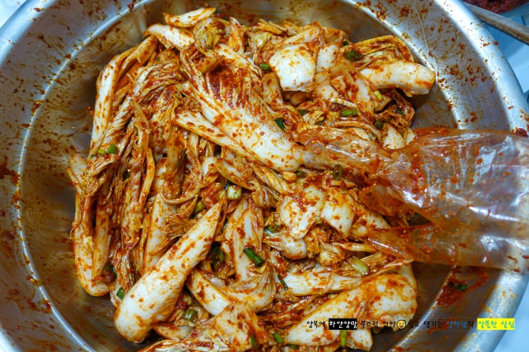  배추 겉절이 만들기, 전라도식 김치 양념의 비법은 까나리액젓입니다.
