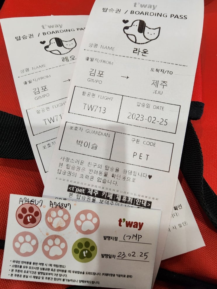 제주도애견동반 강아지 비행기 탑승, 제주도저가항공 티웨이항공 하이에어, 저렴한 비행기표 예약 -스카이스캐너