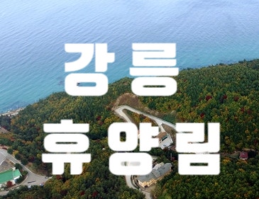  강릉 가성비 숙소 임해 자연 휴양림 전객실 오션뷰