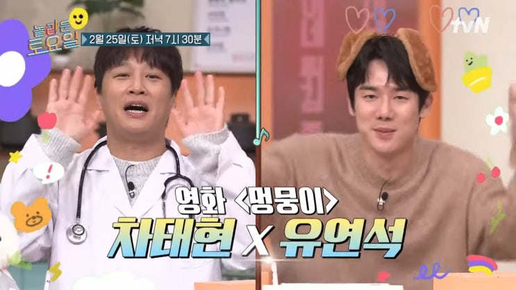  놀라운 토요일 252회 멍뭉이 차태현 나이 키 배우자 최석은 유연석 본명 인스타 프로필
