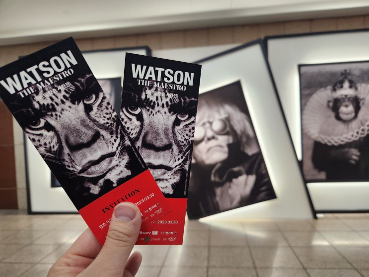 [전시 리뷰] 알버트 왓슨 사진전 - WATSON, THE MAESTRO (한가람 미술관) : 인물의 표정만으로 수백가지를 담을 수 있다는 증명!