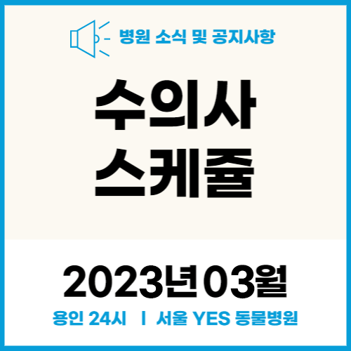  연중무휴 서울YES동물병원 3월 수의사 스케줄 (용인 분당 수원 동물병원)