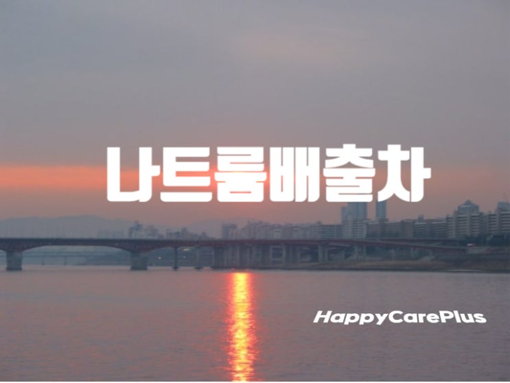  나트륨 배출 차