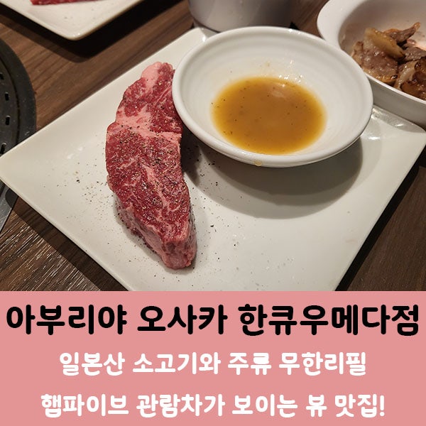  오사카 아부리야 한큐우메다점] 야키니쿠 타베호다이(고기뷔페) 중 최고! 주문 꿀팁과 할인,예약방법